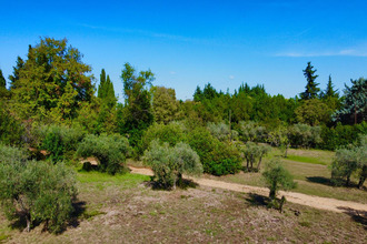  terrain arles 13200