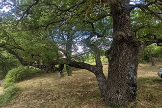  terrain artignosc-sur-verdon 83630