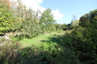  terrain attiches 59551