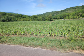  terrain auberives-en-royans 38680