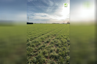  terrain auchy-lez-orchies 59310