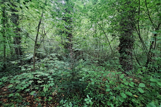  terrain auxi-le-chateau 62390