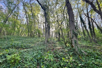  terrain availles-thouarsais 79600