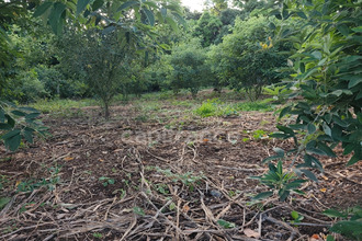  terrain baillif 97123
