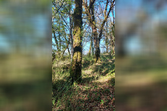  terrain baladou 46600