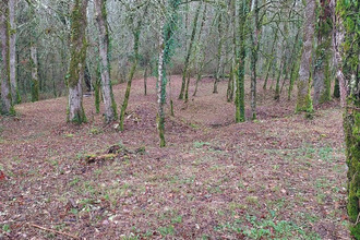  terrain baladou 46600