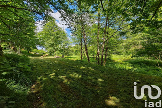  terrain ban-sur-meurthe-clefcy 88230