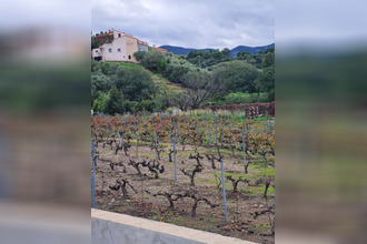  terrain banyuls-sur-mer 66650