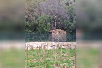  terrain banyuls-sur-mer 66650