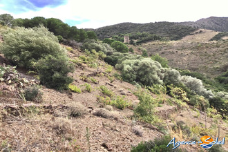  terrain banyuls-sur-mer 66650