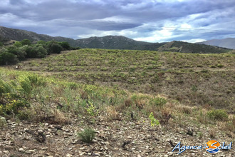  terrain banyuls-sur-mer 66650