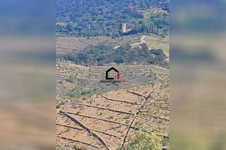  terrain banyuls-sur-mer 66650