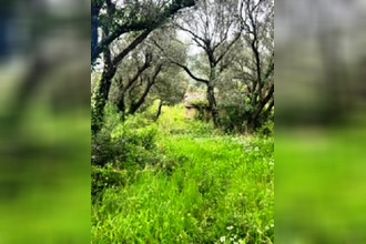  terrain barbaggio 20253