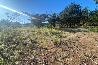  terrain barbatre 85630