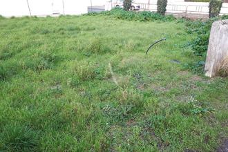  terrain barbatre 85630