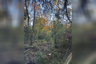  terrain bargemon 83830