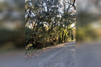  terrain bargemon 83830