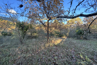  terrain bargemon 83830