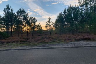  terrain bas-mauco 40500