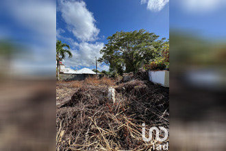  terrain basse-terre 97100