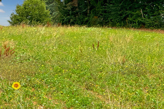  terrain bassoues 32320