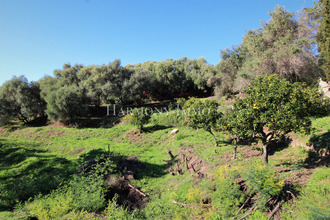  terrain bastelicaccia 20129