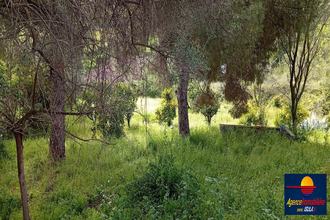  terrain bastelicaccia 20129