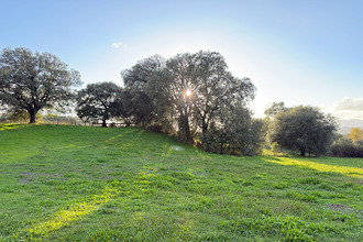  terrain bastelicaccia 20129