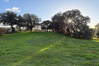  terrain bastelicaccia 20129