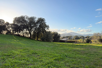  terrain bastelicaccia 20129