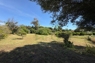  terrain bastelicaccia 20129