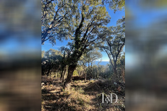  terrain bastia 20200