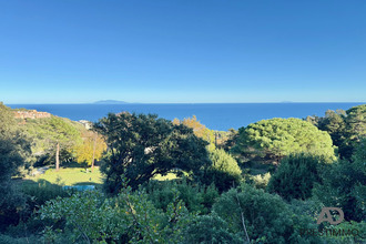  terrain bastia 20200