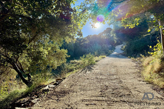  terrain bastia 20200