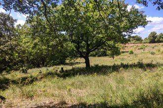  terrain baudinard-sur-verdon 83630