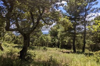  terrain baudinard-sur-verdon 83630