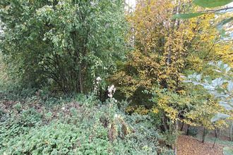  terrain bazeilles 08140