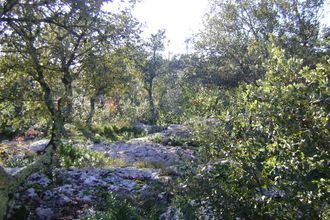  terrain beaume 07120