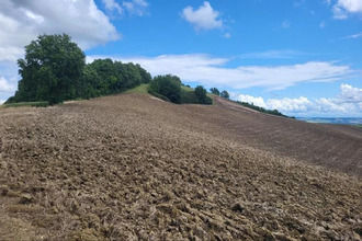  terrain beaumt-de-lomagne 82500