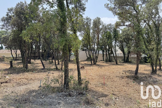  terrain bedarrides 84370