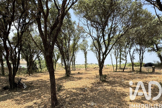  terrain bedarrides 84370