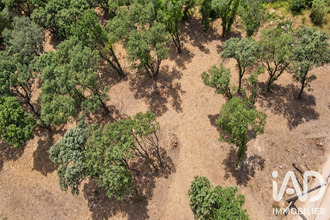  terrain bedarrides 84370