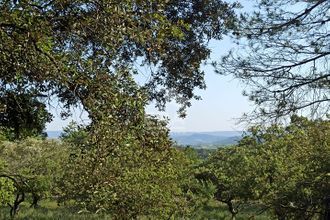  terrain bedoin 84410