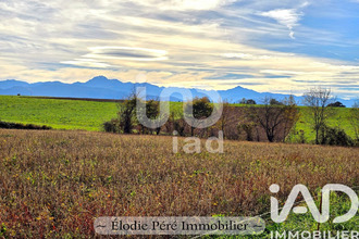  terrain begole 65190