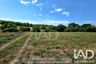  terrain begole 65190