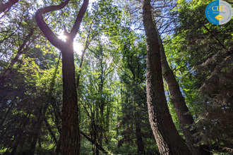  terrain beignon 56380