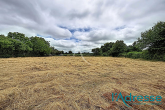 terrain belgeard 53440