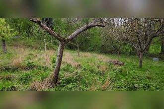  terrain belle-eglise 60540