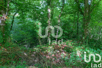  terrain bellot 77510