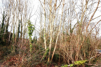  terrain belluire 17800